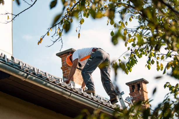 Best Roof Replacement Cost  in Carrington, ND