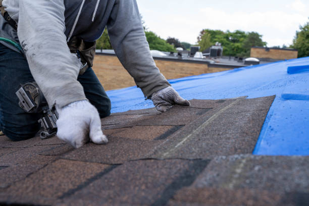 Best New Roof Installation  in Carrington, ND
