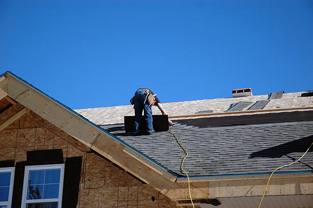 Best Roof Gutter Cleaning  in Carrington, ND