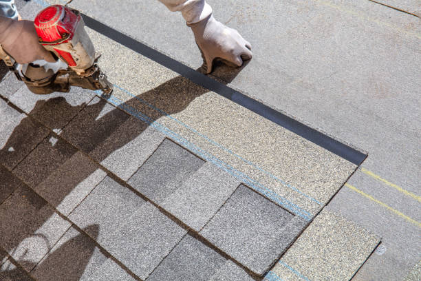 Best Best Roofing Contractors  in Carrington, ND