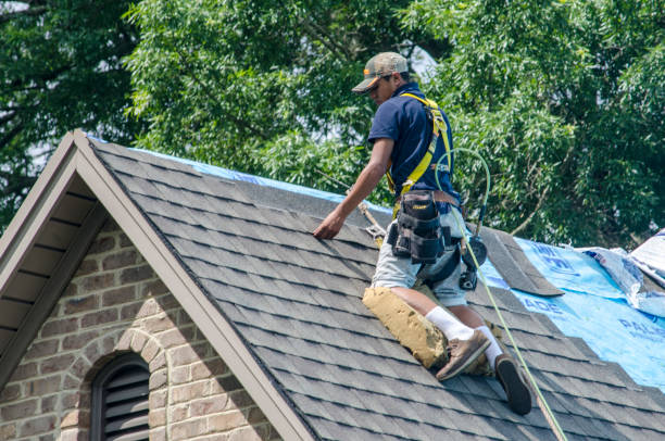 Best Roof Maintenance Services  in Carrington, ND