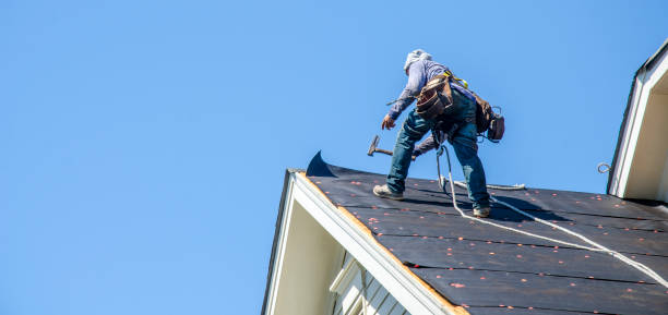 Best Sealant for Roof  in Carrington, ND